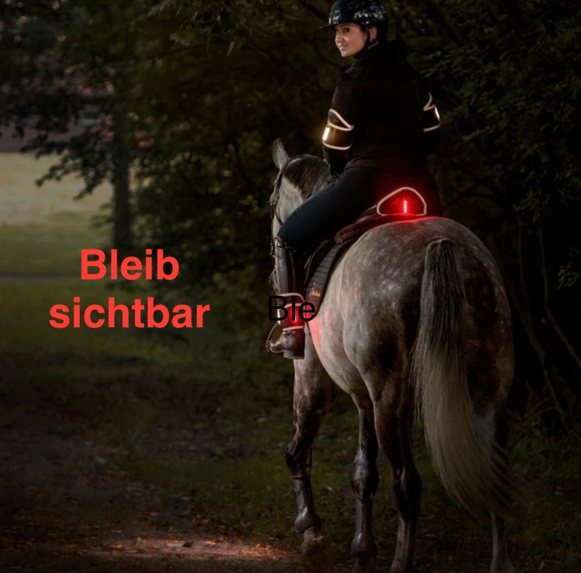 Beleuchtung für Pferd und Reiter bei Dunkelheit - IQ Horse