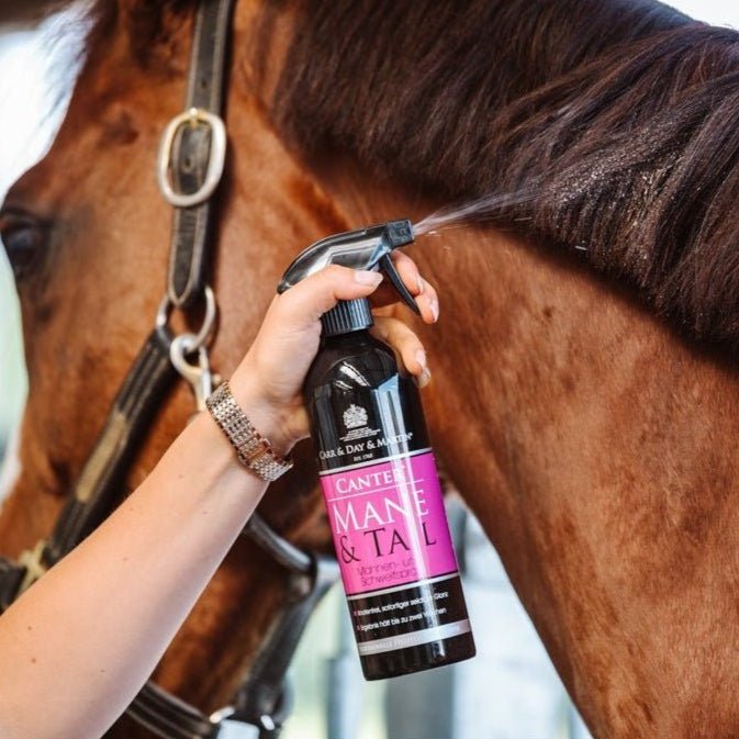 Pflege - IQ Horse
