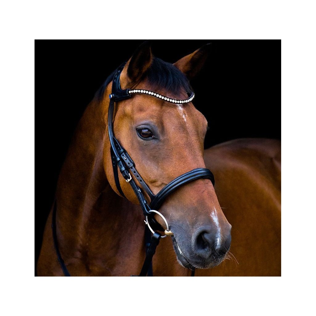 Zaumzeug &  Zubehör