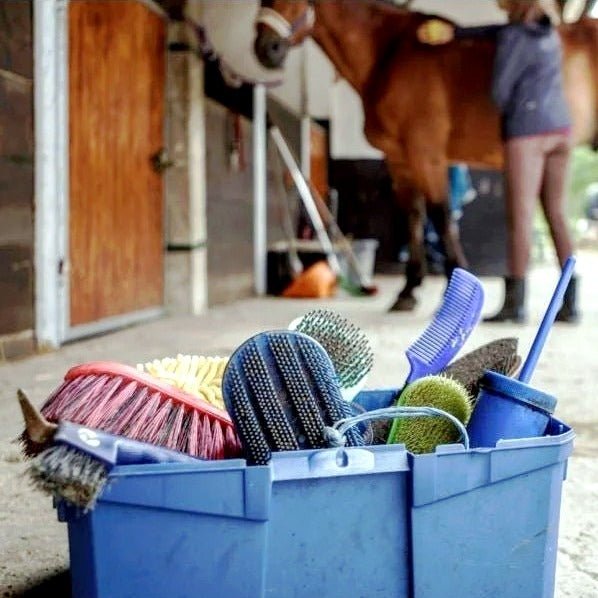 Putzzeug - IQ Horse
