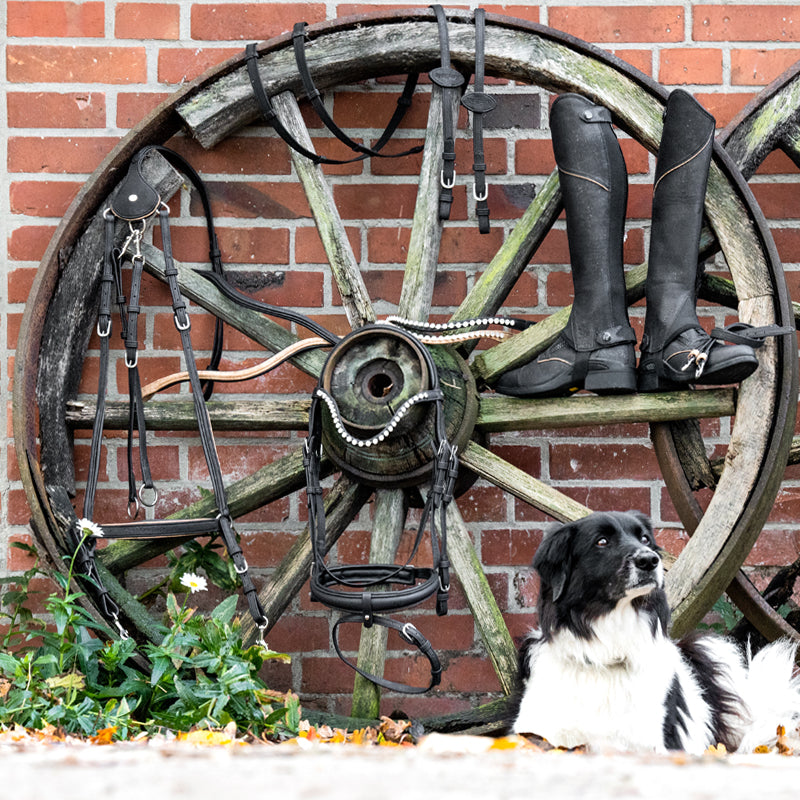 Springsattel Cornelius – veganer Kork