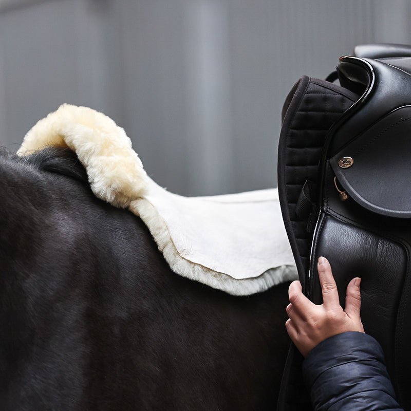 Kavalkade Lammfellkissen PURE - IQ Horse