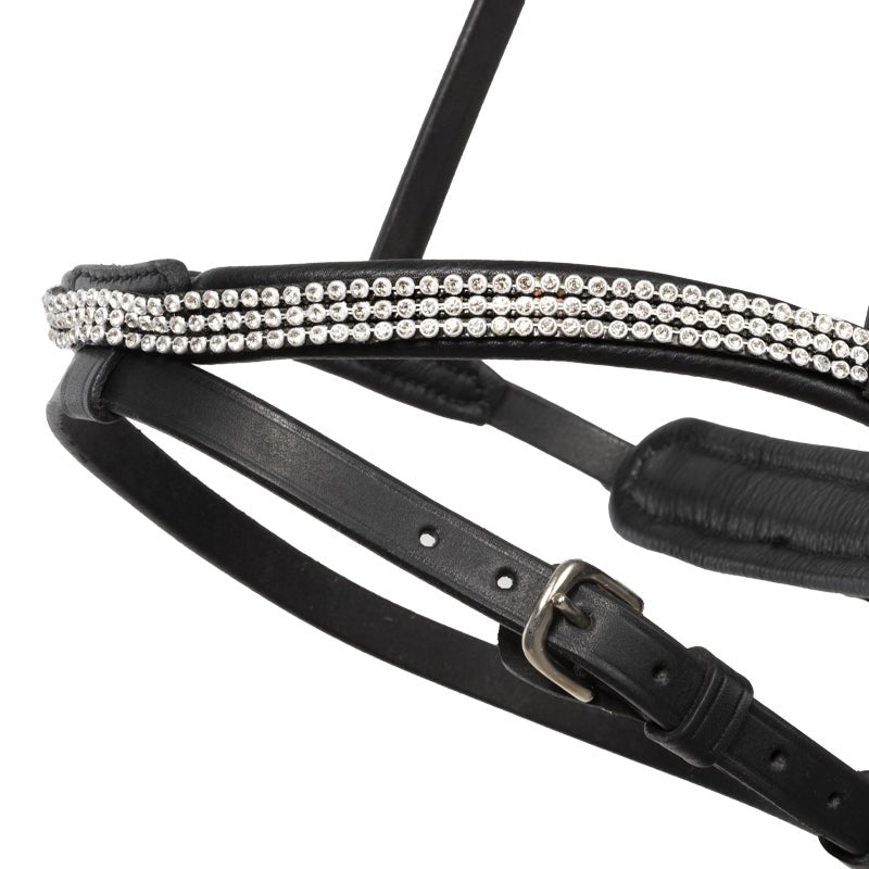 Kavalakde Eng. Reithalfter Aradis "Hvitur" Island - IQ Horse