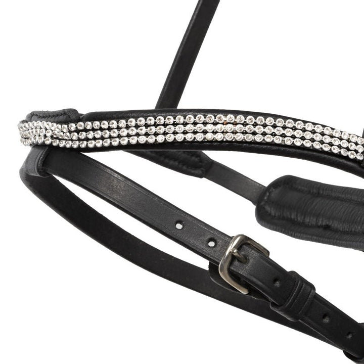 Kavalakde Eng. Reithalfter Aradis "Hvitur" Island - IQ Horse