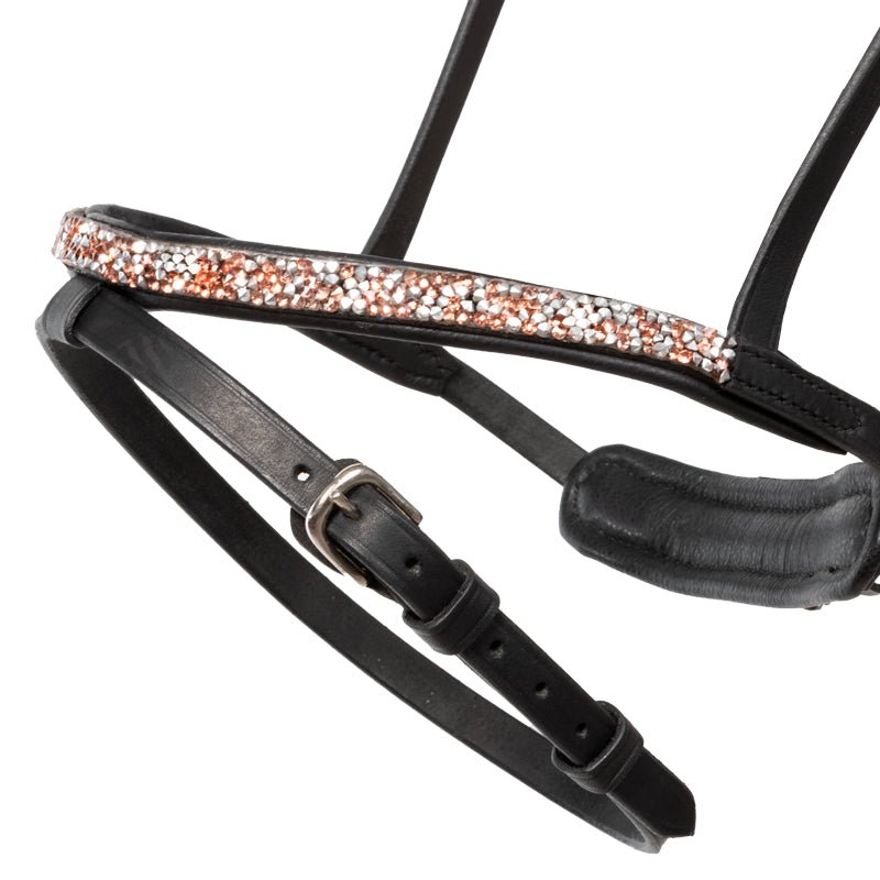 Kavalkade Eng. Reithalfter Aradis FERSKJA Island - IQ Horse