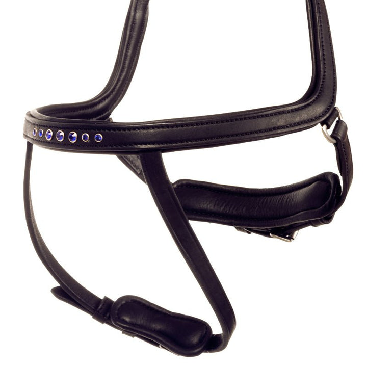 Kavalkade Eng. Reithalfter Aradis KÓNGABLÁR Island - IQ Horse