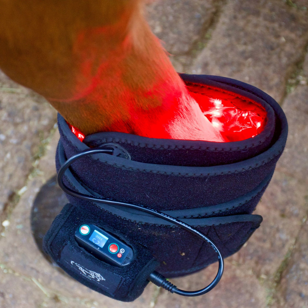 LuxMy M-Lichttherapie-Pad - IQ Horse