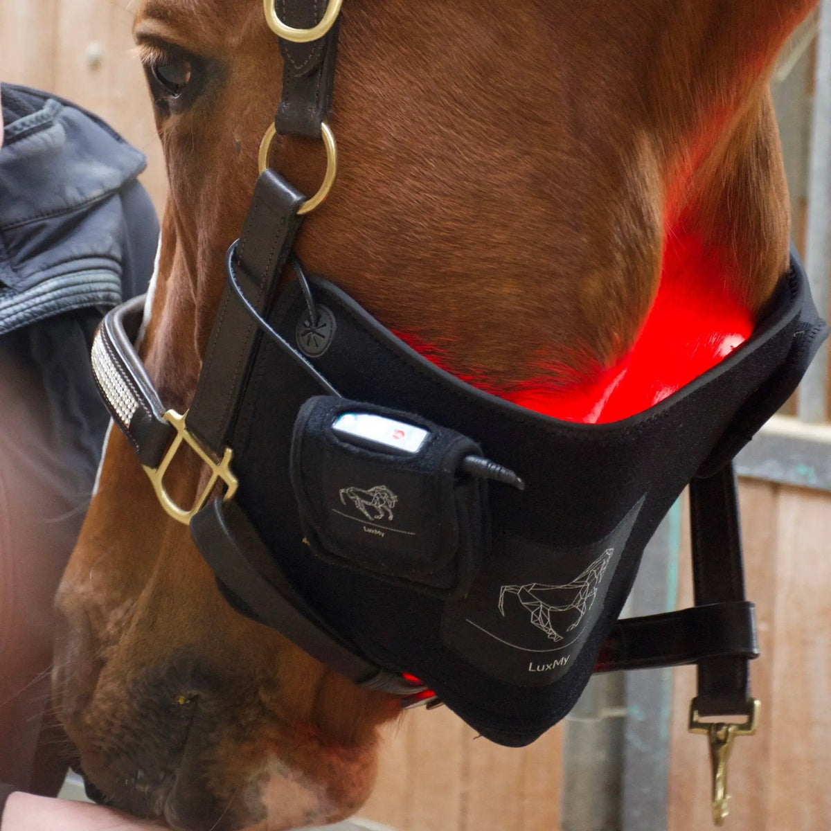 LuxMy S - Lichttherapie - Pad - IQ Horse