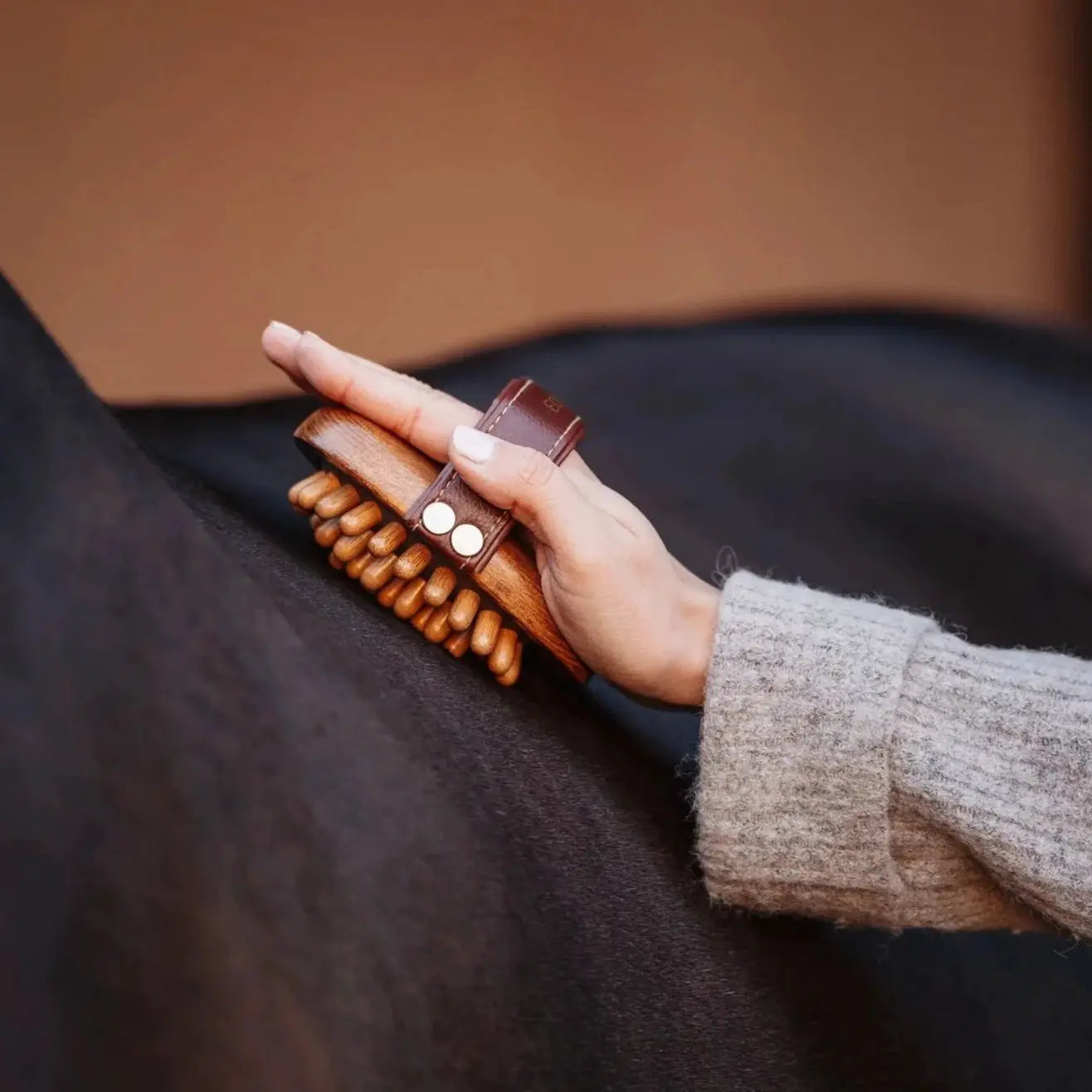 Equimour Massage - Striegel CORNET - IQ Horse