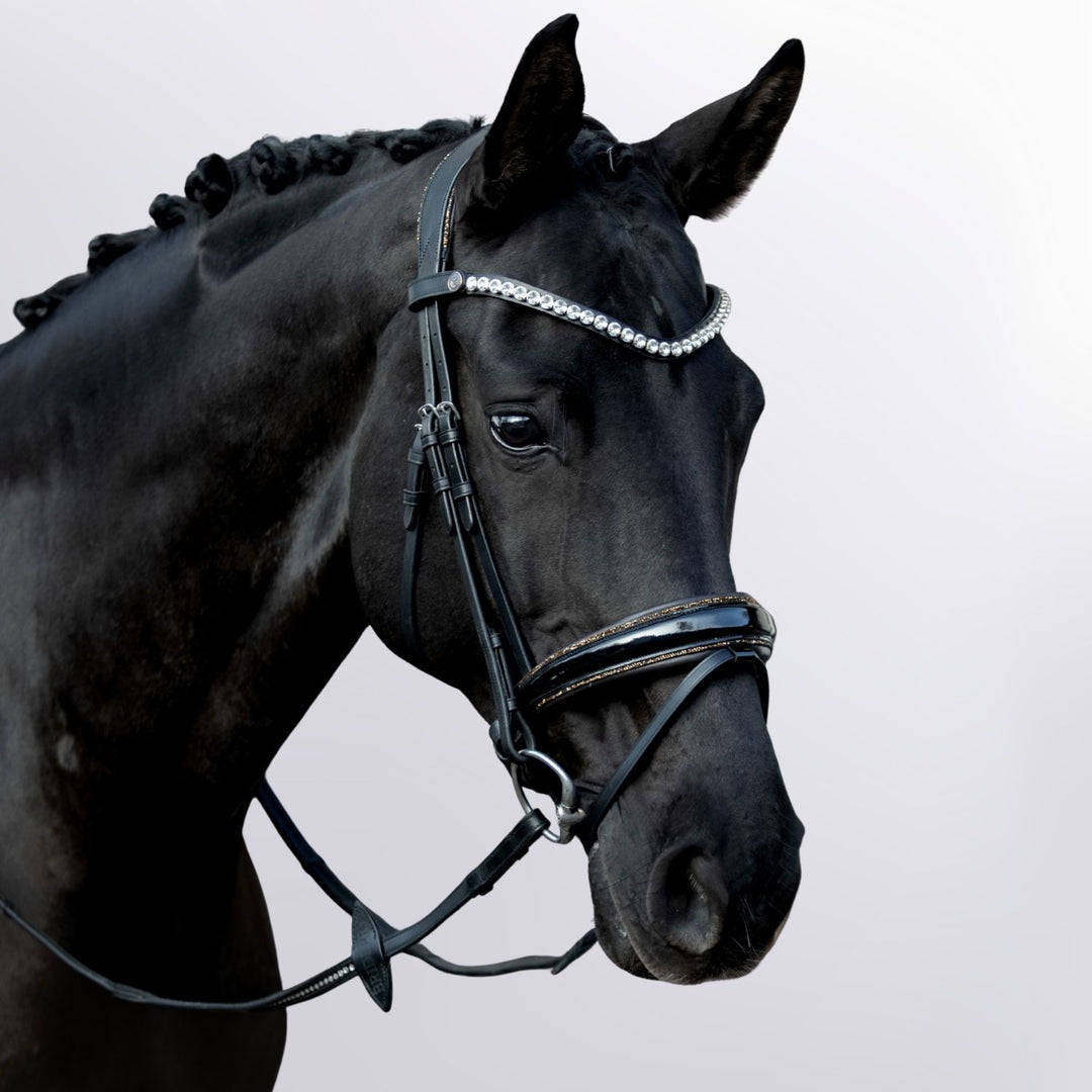 Anatomische Trense Glory – farbig unterlegt