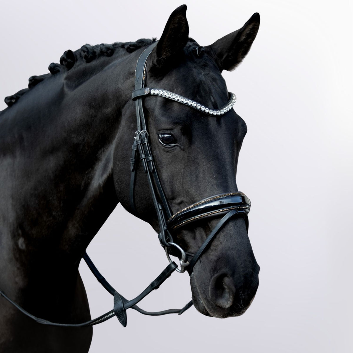 Anatomische Trense Glory – farbig unterlegt