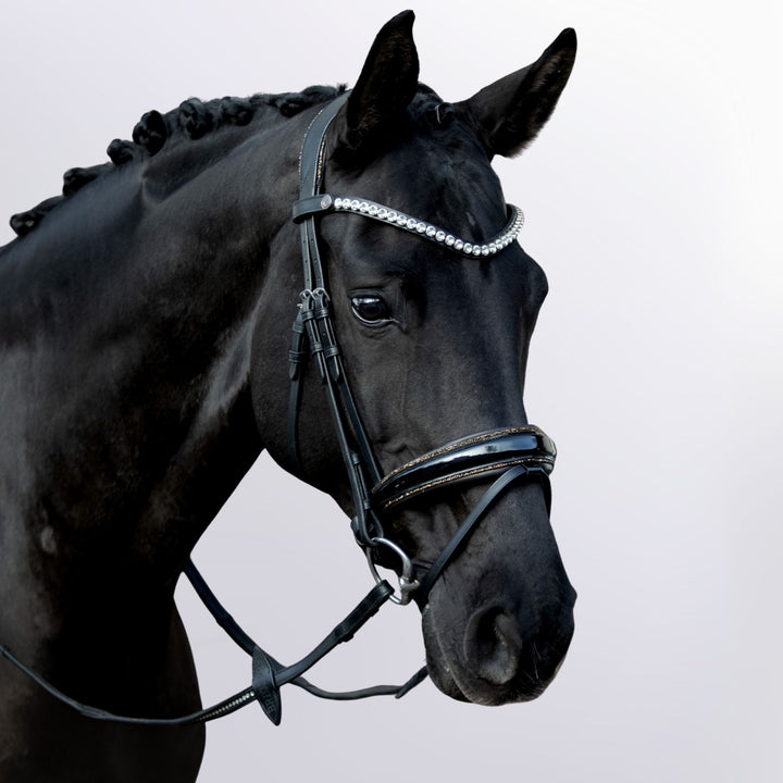 Anatomische Trense Glory – farbig unterlegt