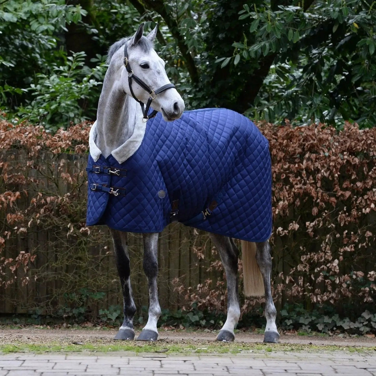 WeatherBeeta ComFiTec Deluxe Diamond Stalldecke Standard Neck Medium, navy - IQ Horse