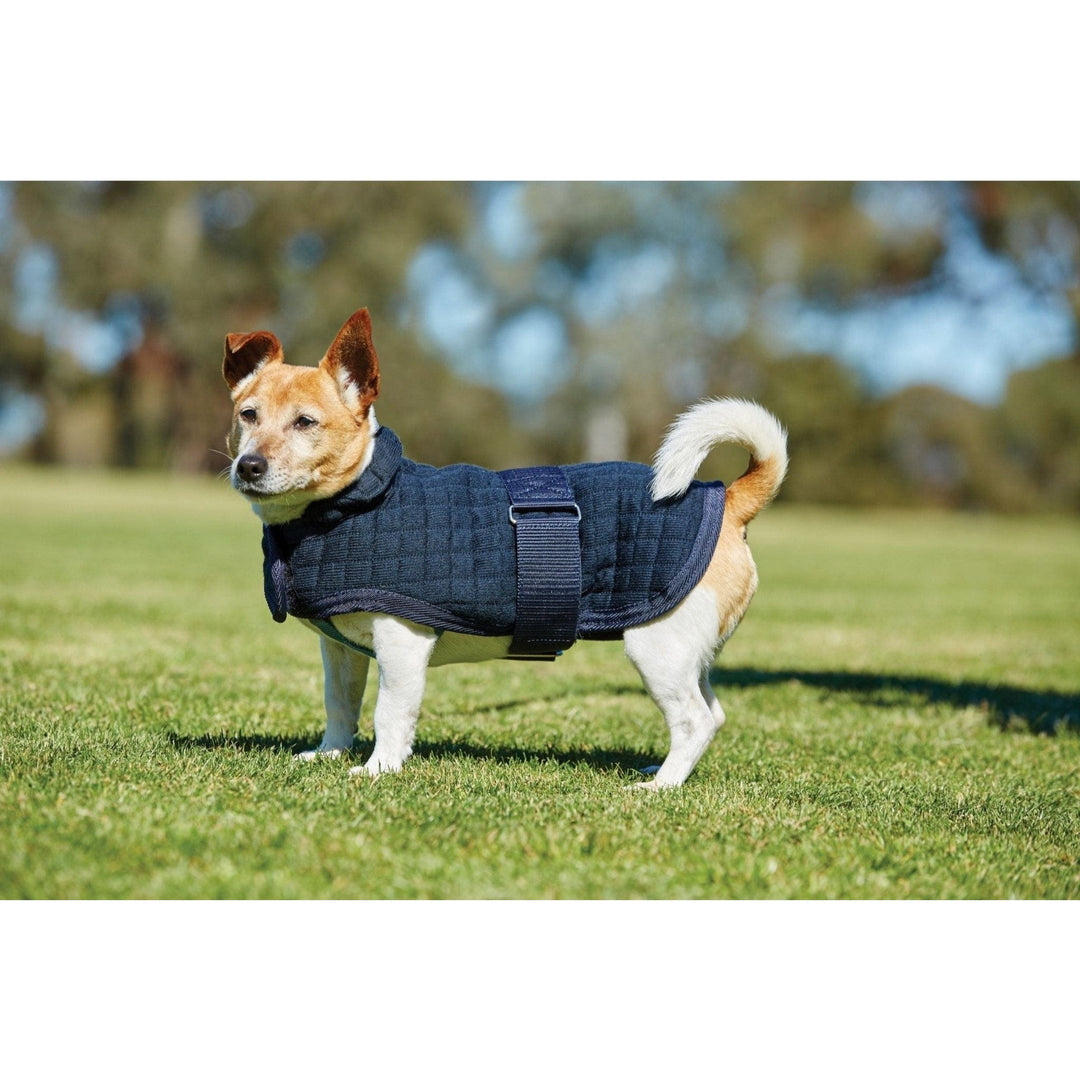 WeatherBeeta ComFiTec Thermocell Hundemantel, NAVY - IQ Horse