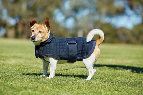 WeatherBeeta ComFiTec Thermocell Hundemantel, NAVY - IQ Horse