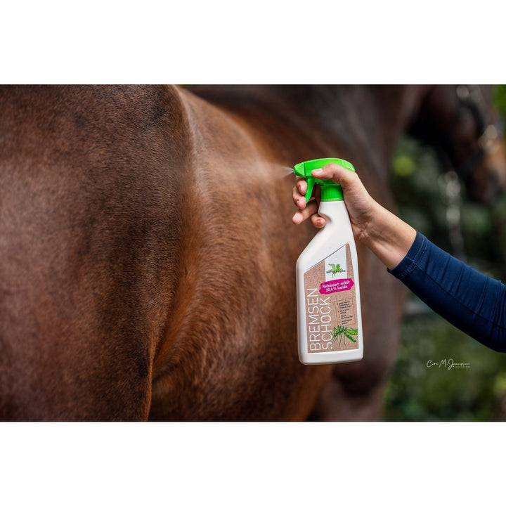 Bense & Eicke Bremsen Schock, 500ml - IQ Horse