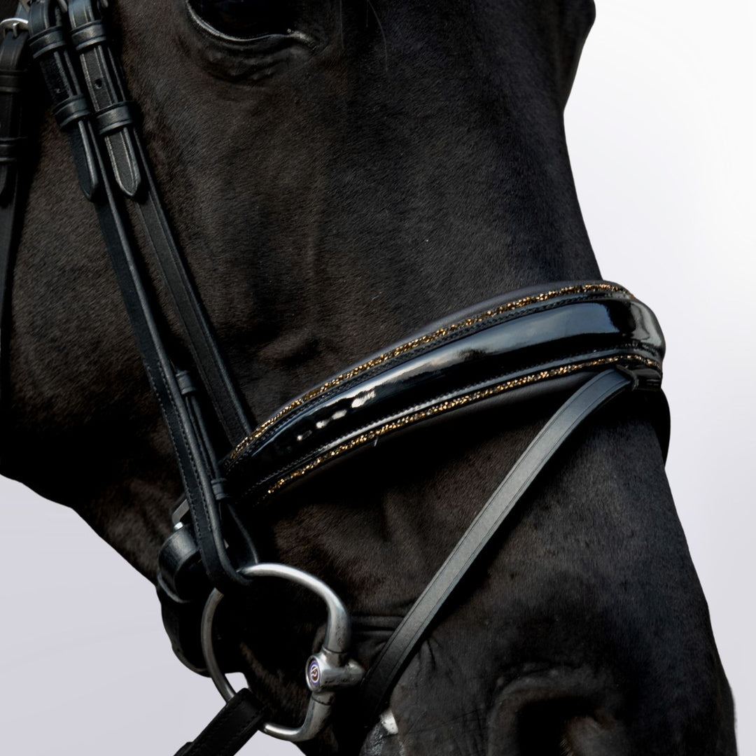 Anatomische Trense Glory – farbig unterlegt