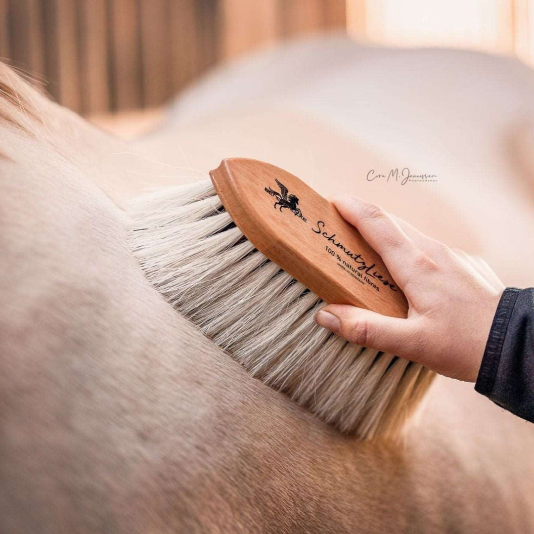 Bense & Eicke Wurzelbürste SCHMUTZLIESE - IQ Horse