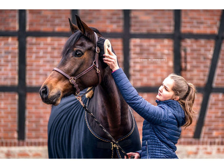 Bense & Eicke Staub - & Fellglanzbürste "GlanzElse" - IQ Horse