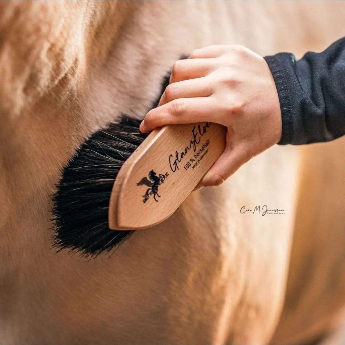 Bense & Eicke Staub - & Fellglanzbürste GlanzElse - IQ Horse