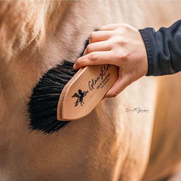 Bense & Eicke Staub- & Fellglanzbürste GLANZELSE - IQ Horse