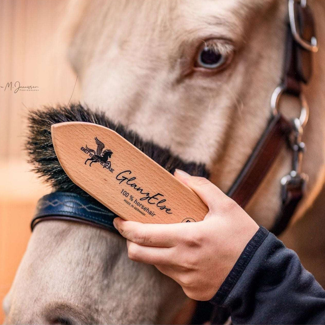 Bense & Eicke Staub- & Fellglanzbürste GLANZELSE - IQ Horse