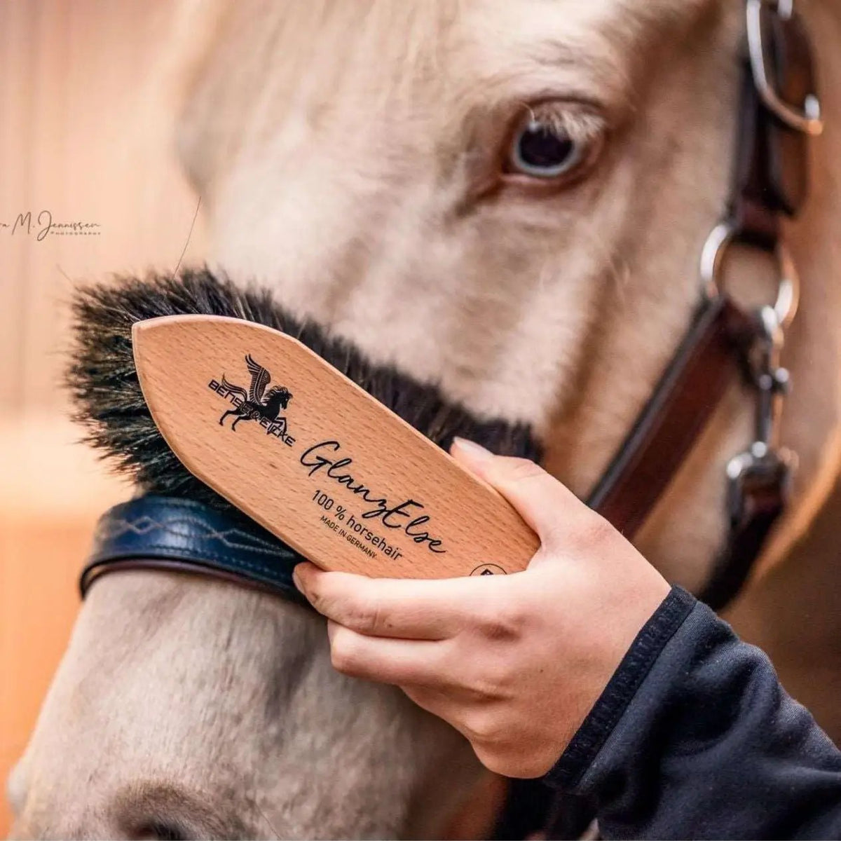 Bense & Eicke Staub - & Fellglanzbürste GlanzElse - IQ Horse