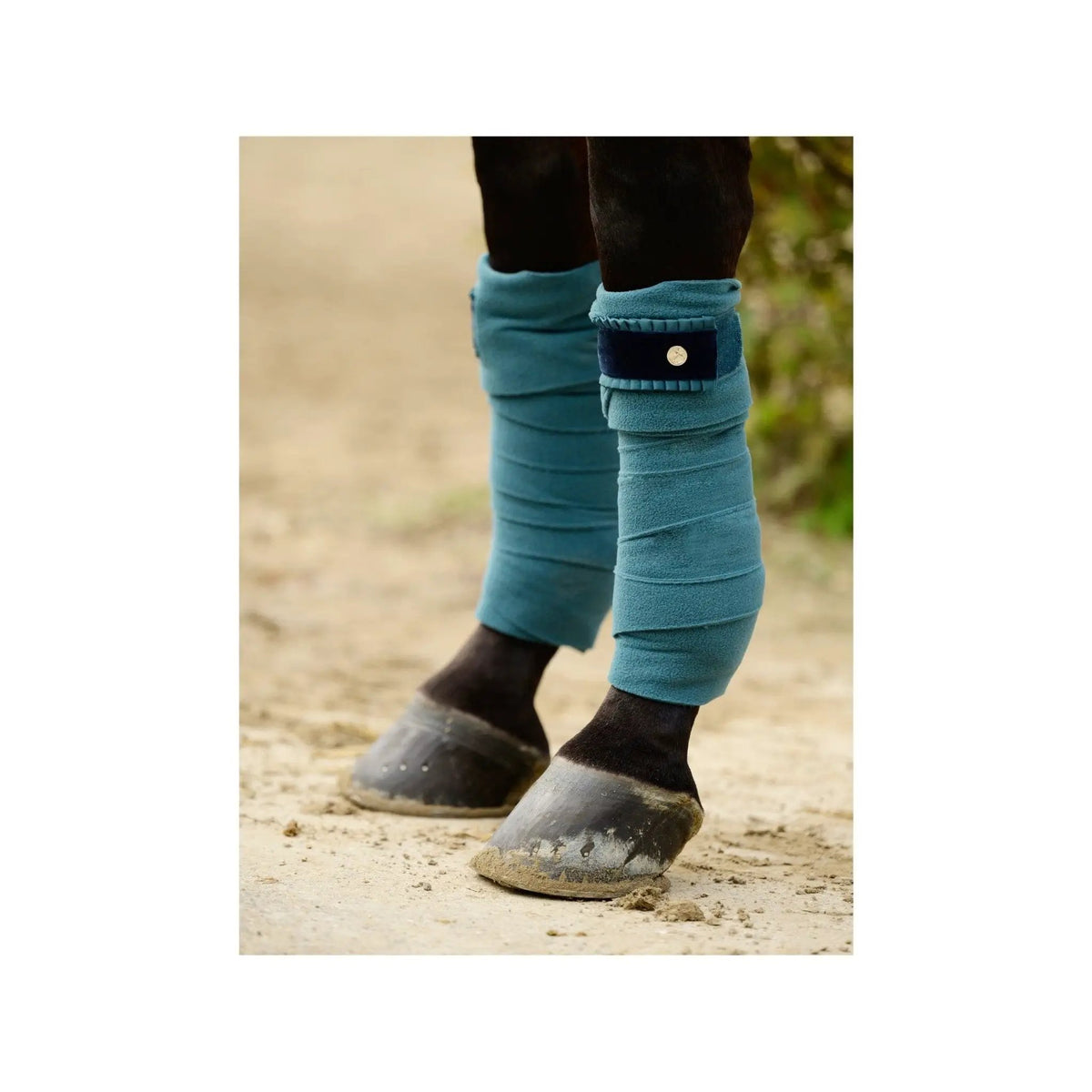 PS of Sweden Bandage Ruffle, Petrol - IQ Horse