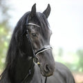 Bridle JULIANA English combined, black-white