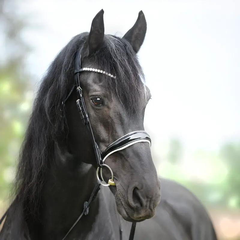 Kavalkade Trense JULIANA eng. - kombiniert, schwarz - weiß - IQ Horse