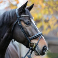 Bridle JULIANA English combined, Black-Black