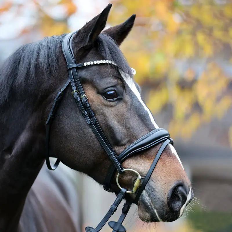Kavalkade Trense JULIANA eng. - kombiniert, Schwarz - Schwarz - IQ Horse