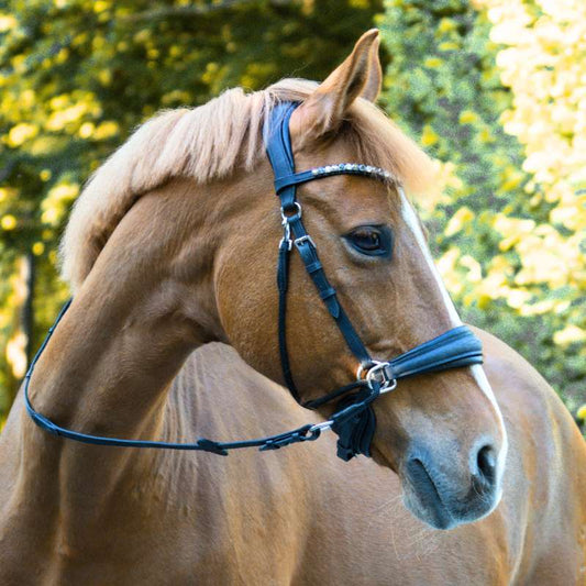 Kavalkade Trense "Cross Light" Gebisslos engl. - IQ Horse