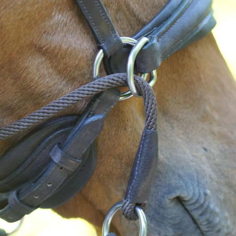 Kavalkade Trense "Cross Light" Gebisslos engl. - IQ Horse