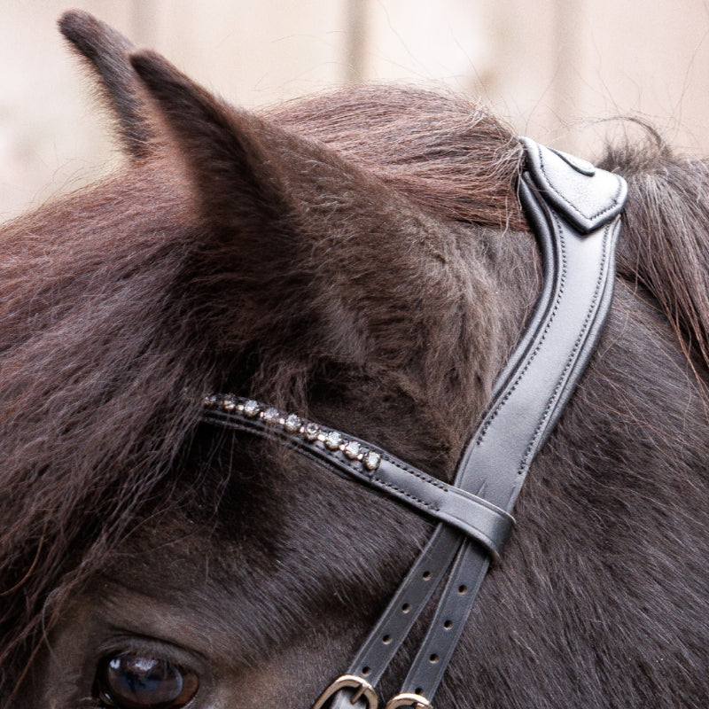 Islandtrense Freya hannoversch Glitzer