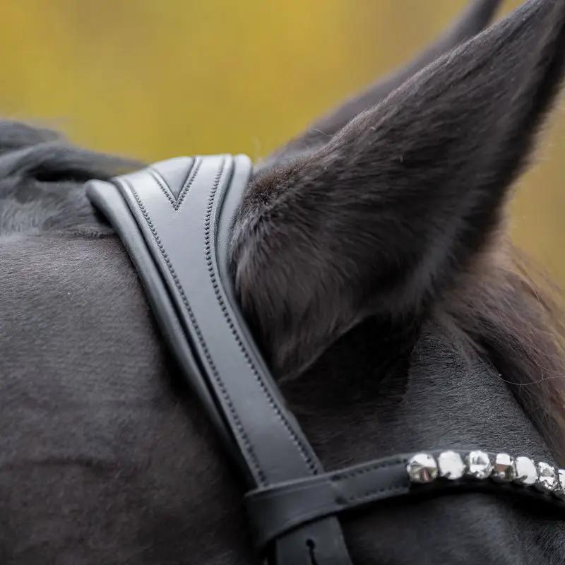 Kandare Selina – deutsches Leder mit schwedischem Reithalfter - IQ Horse