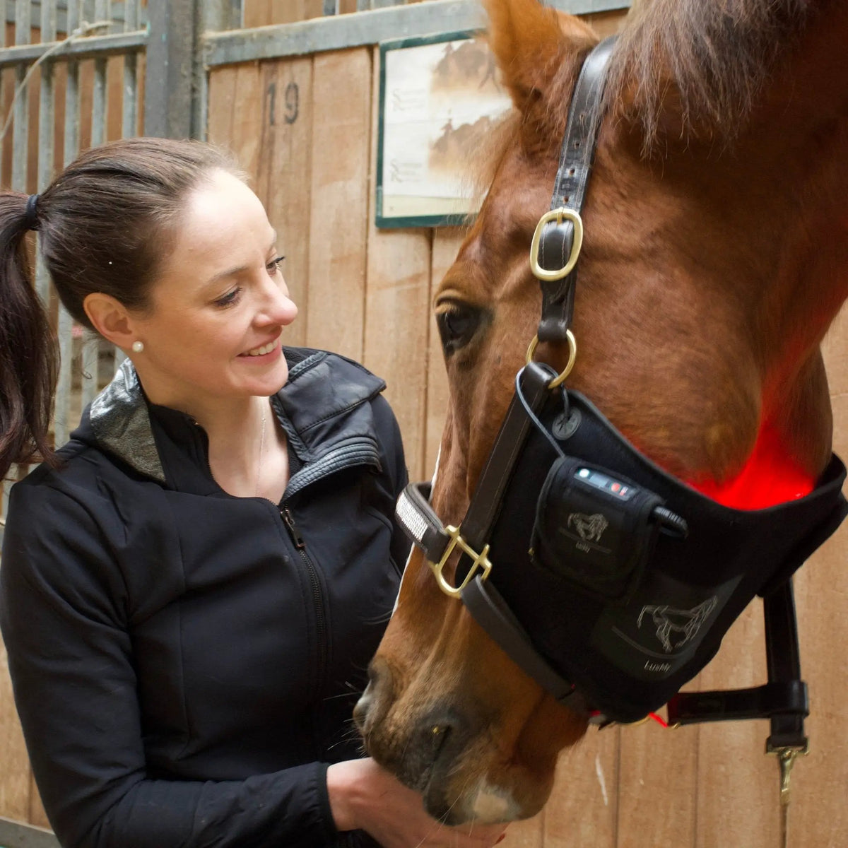 LuxMy S - Lichttherapie - Pad - IQ Horse
