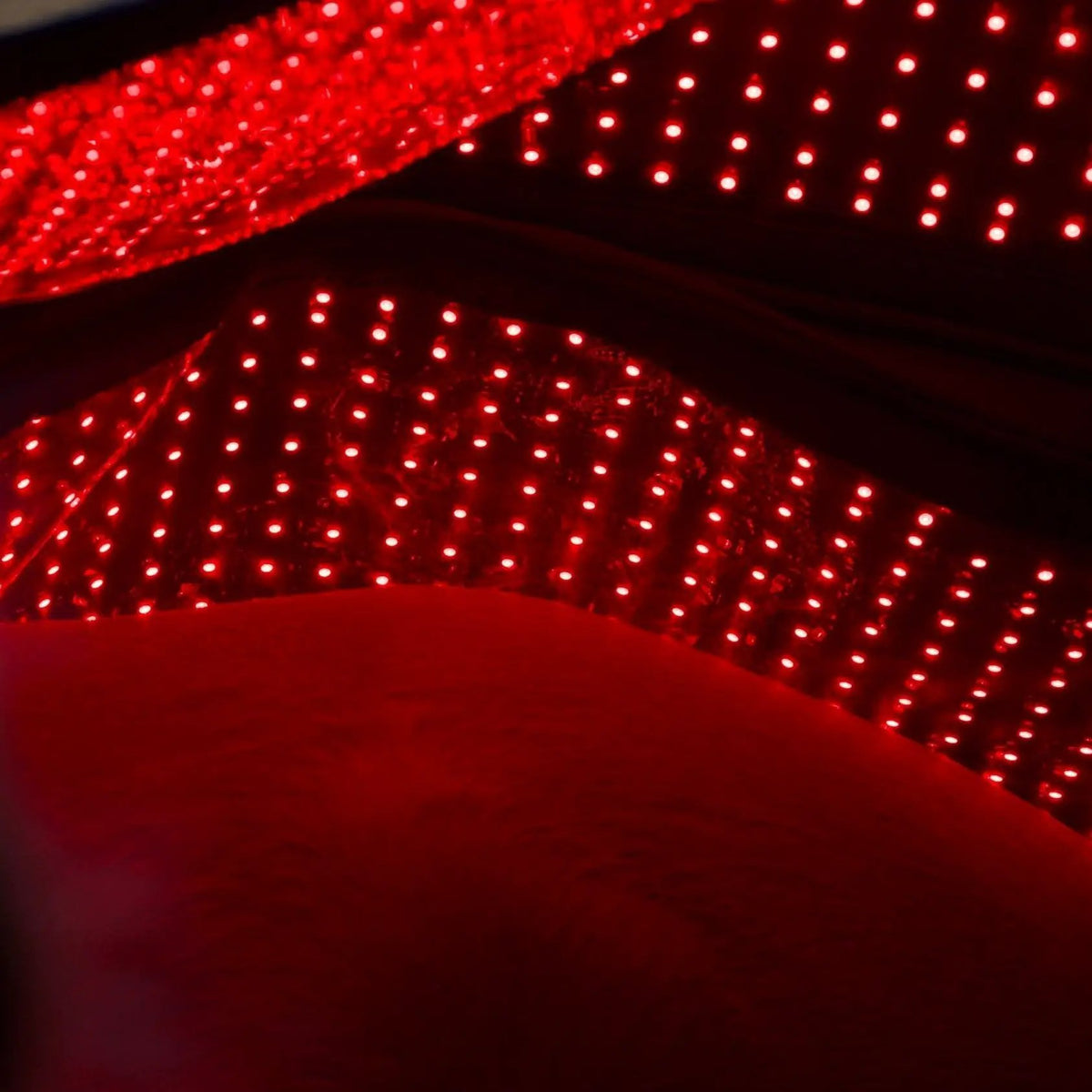 LuxMy Lichttherapie - Decke - IQ Horse