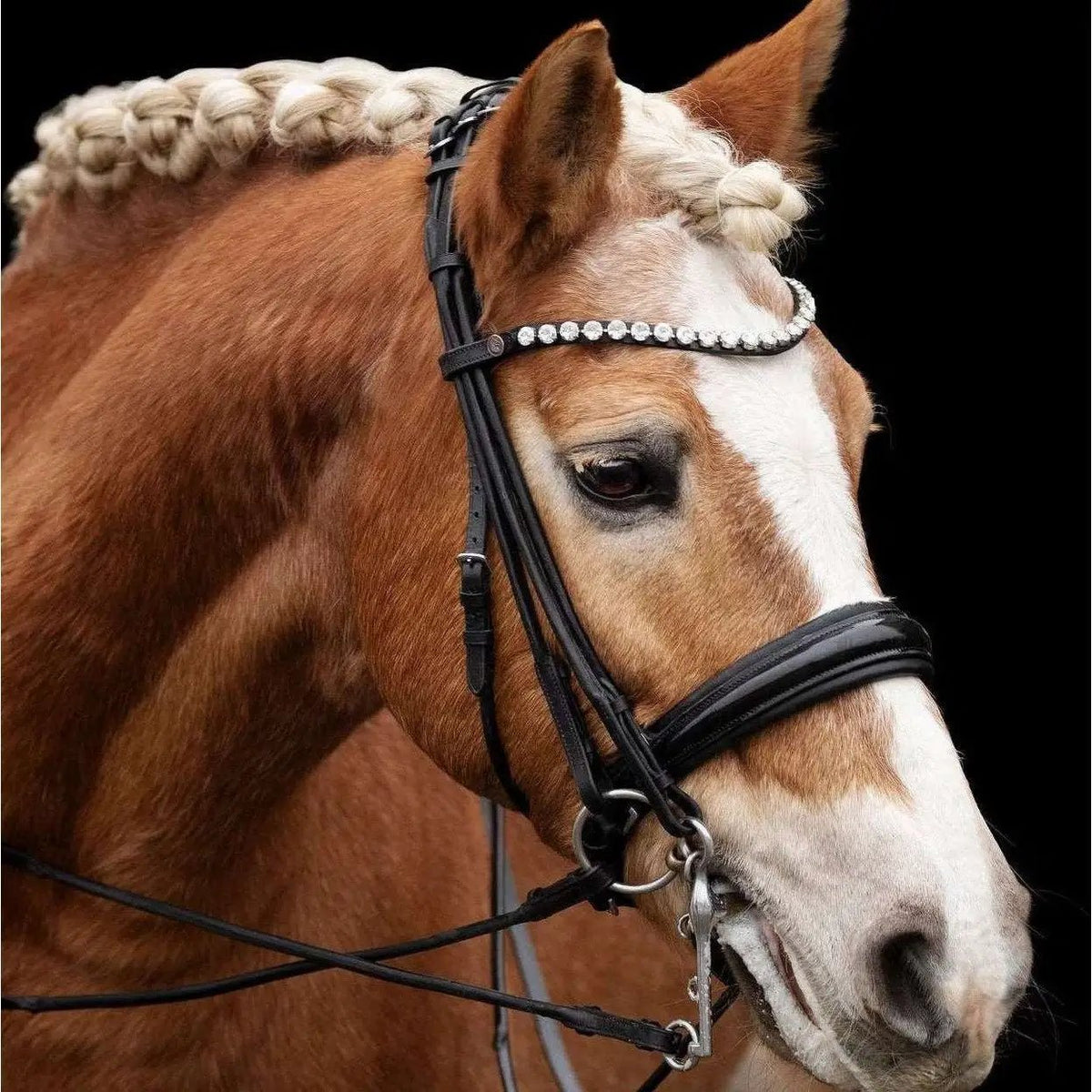 Kandare CLASSIC - IQ Horse