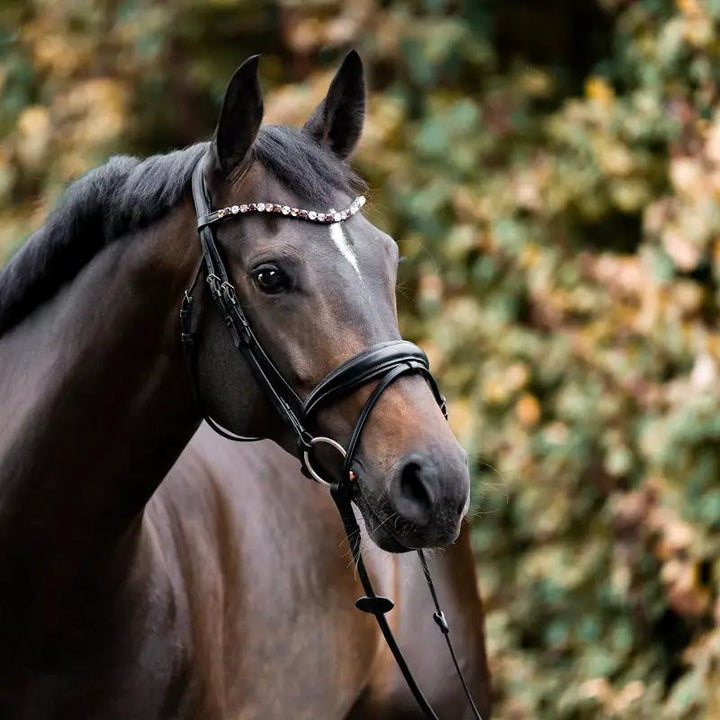 Kavalkade Stirnband Burgundy - IQ Horse
