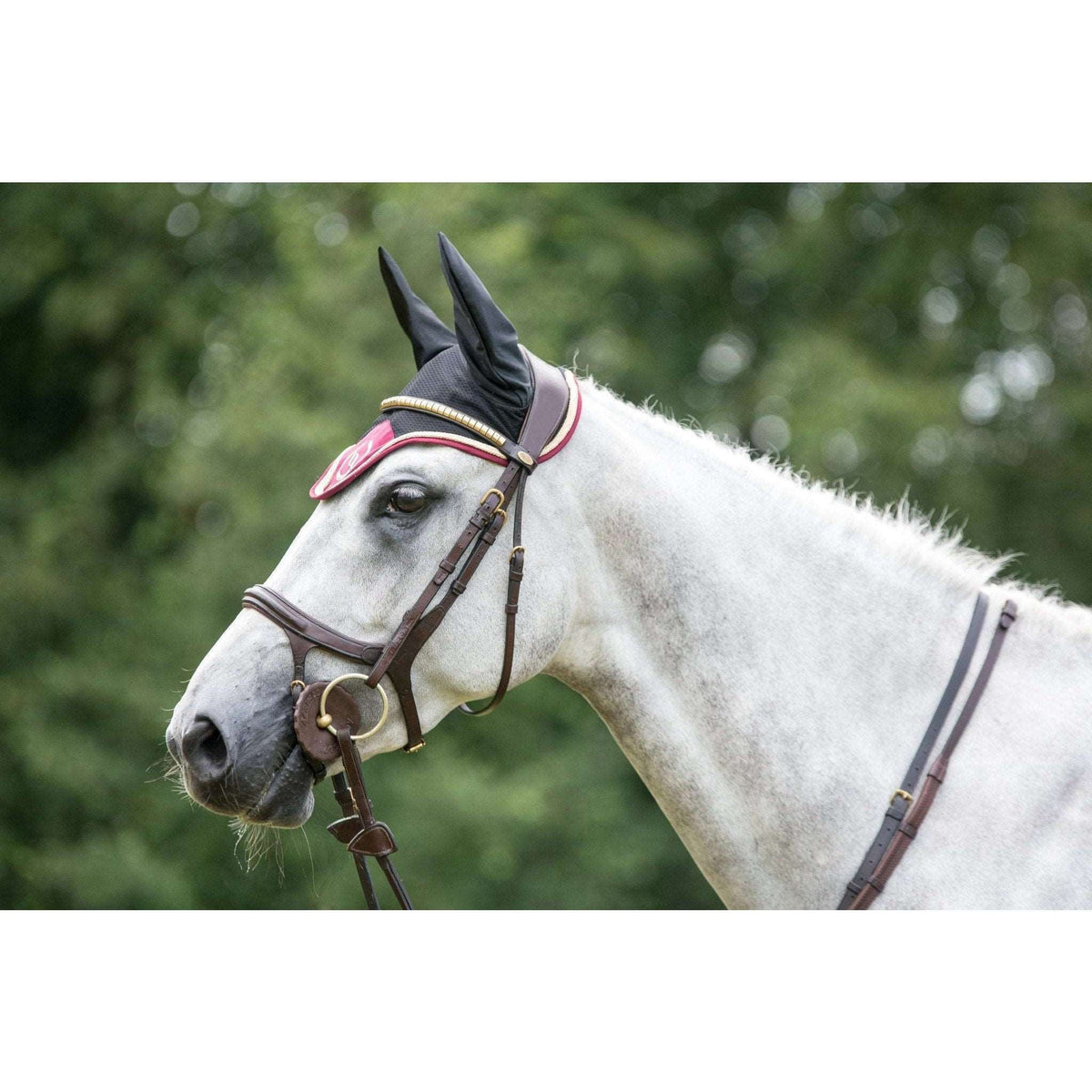 Back on Track Nights Collection Fliegenhaube, Dunkelrot - IQ Horse
