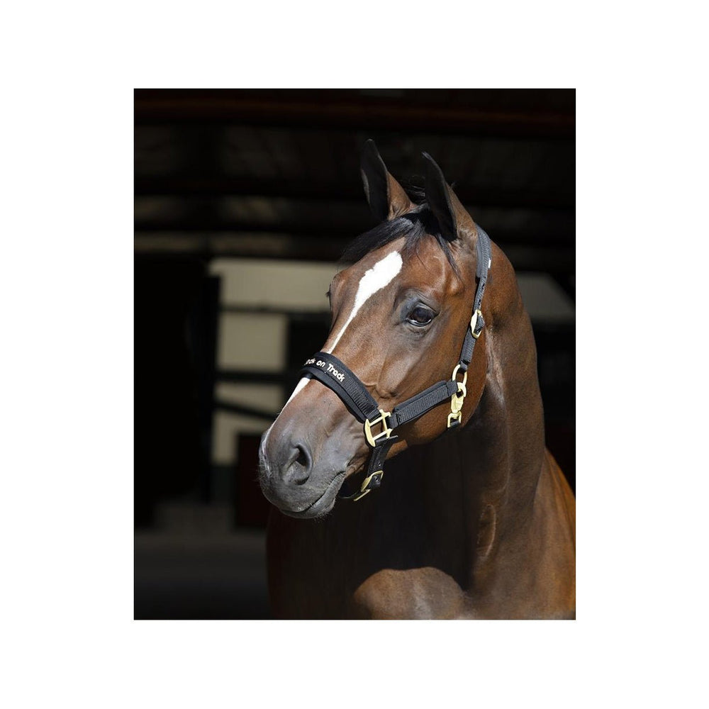Back on Track Halfter WERANO, Schwarz - IQ Horse