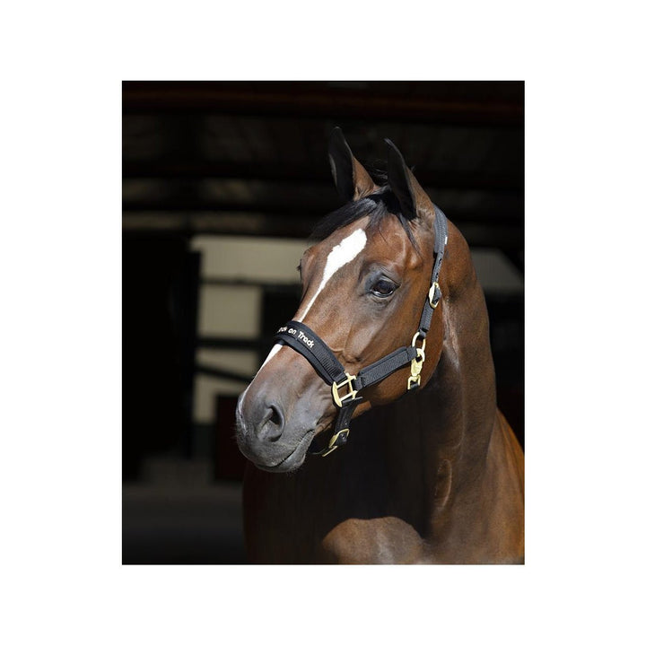 Back on Track Halfter WERANO, Schwarz - IQ Horse