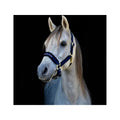 Werano Headcollar, Navy