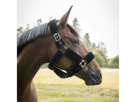 Back on Track Fell - Halfter Audrey, black - IQ Horse