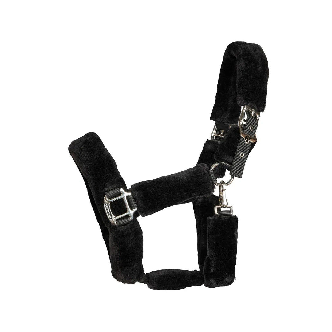 Back on Track Fell- Halfter Audrey, black - IQ Horse