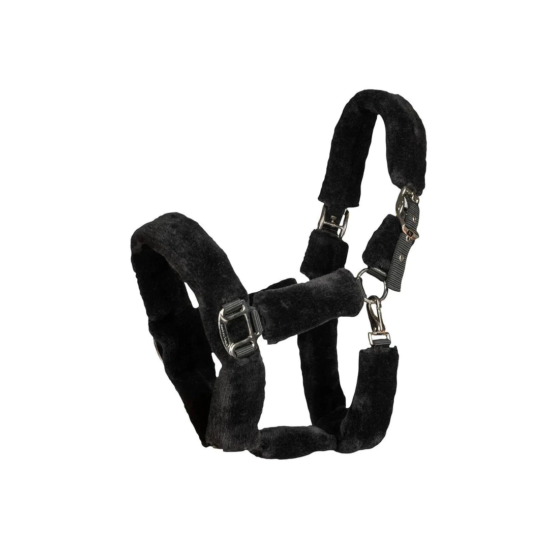 Back on Track Fell- Halfter Audrey, black - IQ Horse