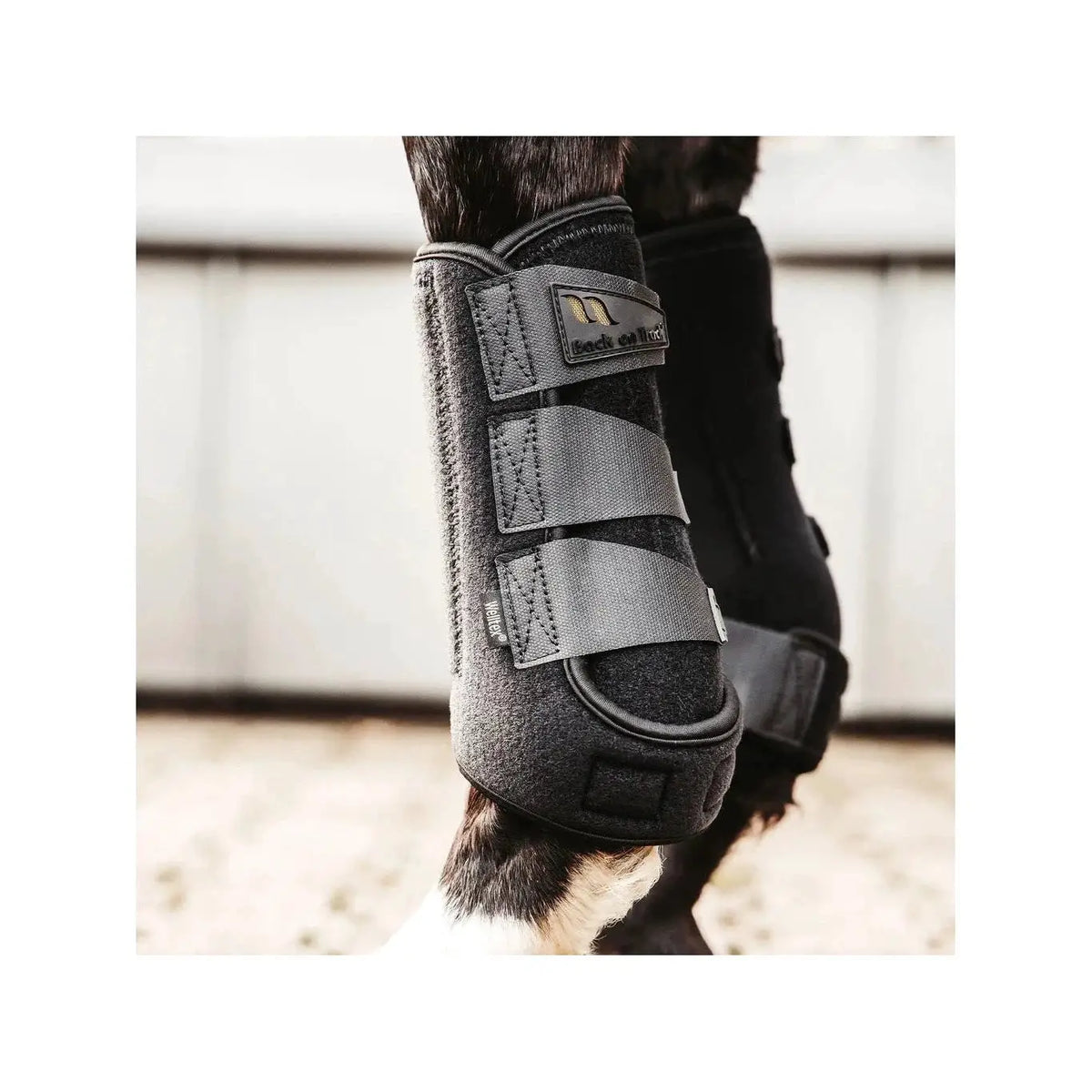 Back on Track Airflow Arbeitsgamaschen versch. Farben - IQ Horse