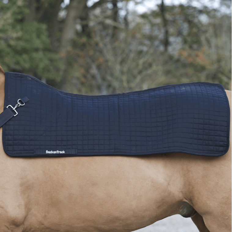 Rückenwärmer Royal - IQ Horse