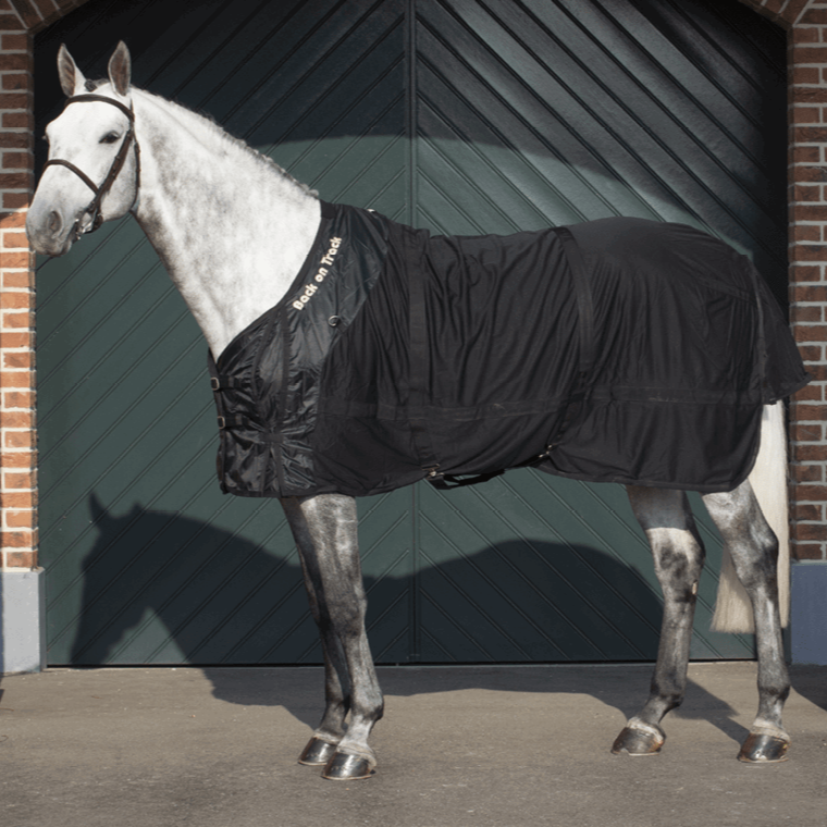 Netzdecke mit Welltex - IQ Horse